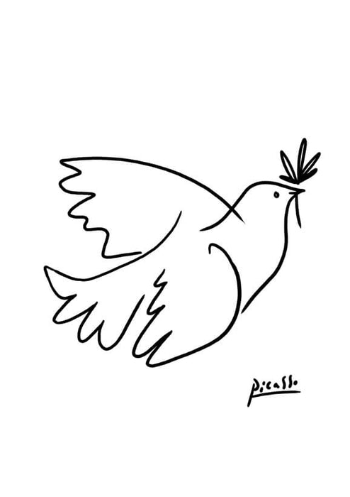 Pablo Picasso - Dove Sketch