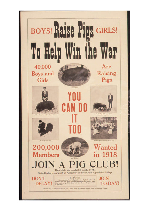 Raise Pigs To Help Win The War