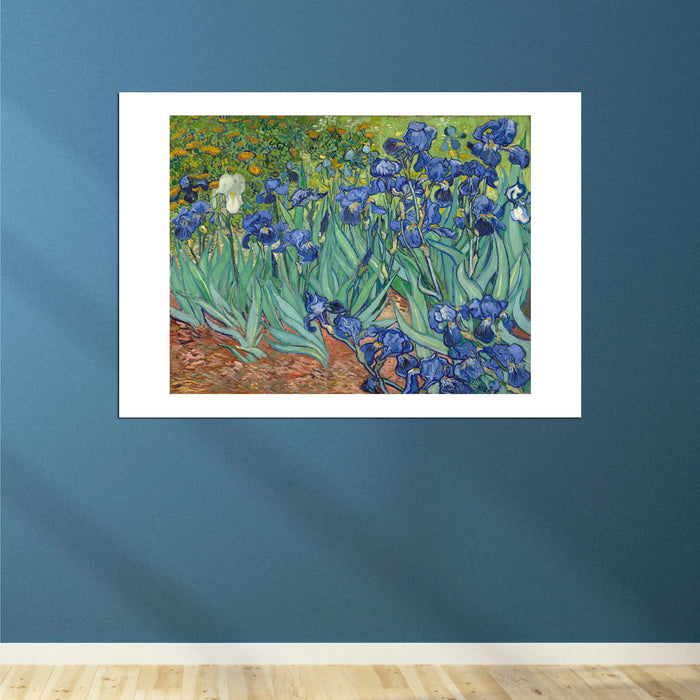 Vincent Van Gogh - Irises, 1889
