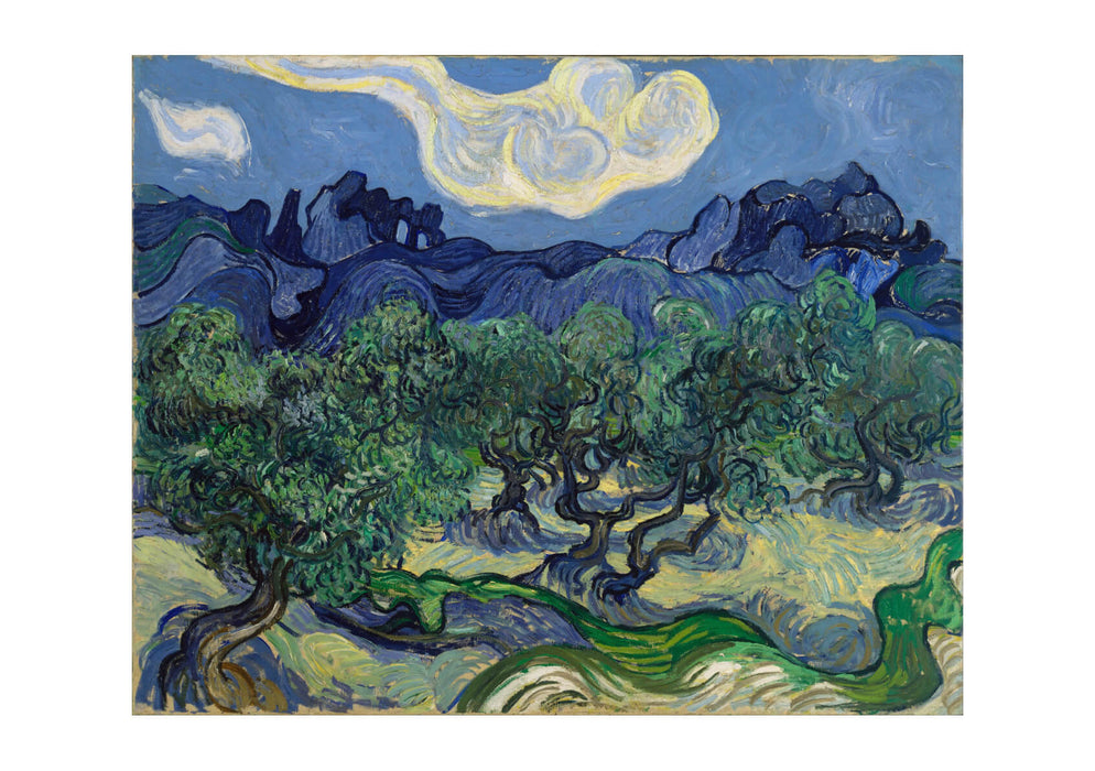 Vincent Van Gogh - The Olive Trees