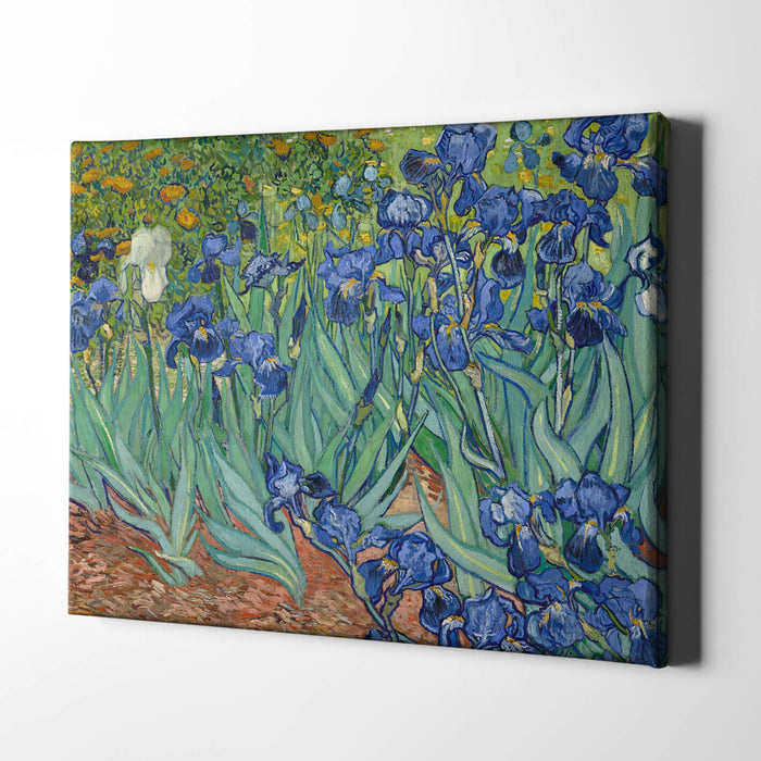Vincent Van Gogh - Irises, 1889 / Canvas Print