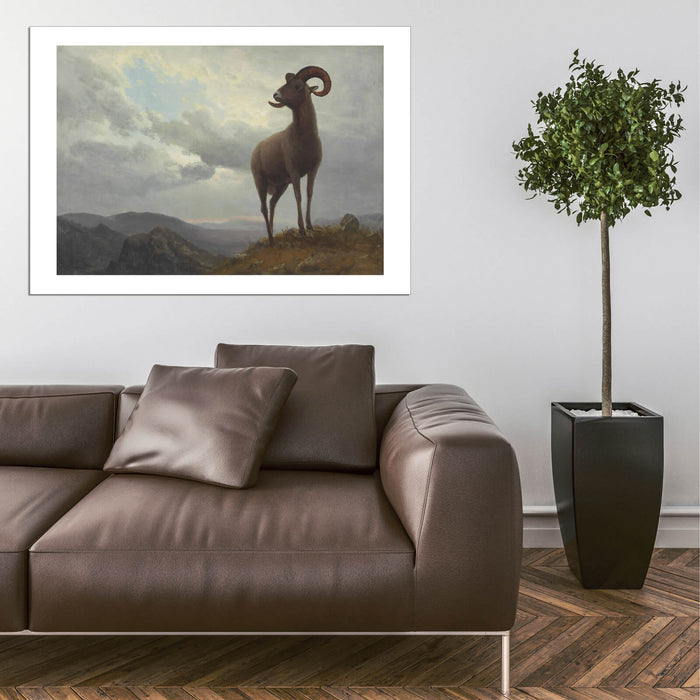 Albert Bierstadt - Long Horned Sheep