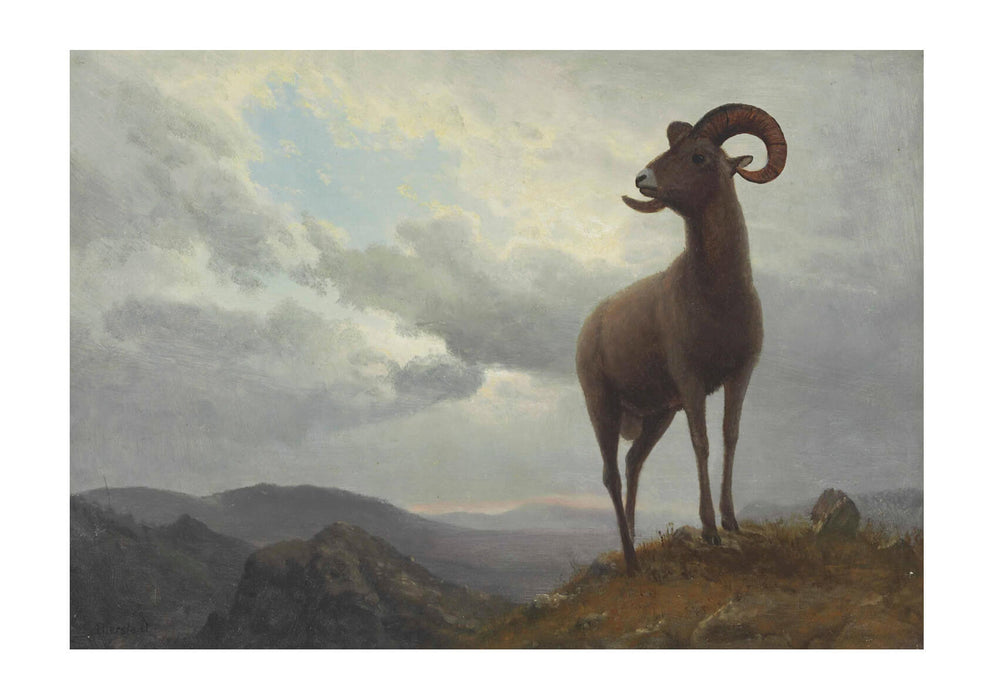 Albert Bierstadt - Long Horned Sheep
