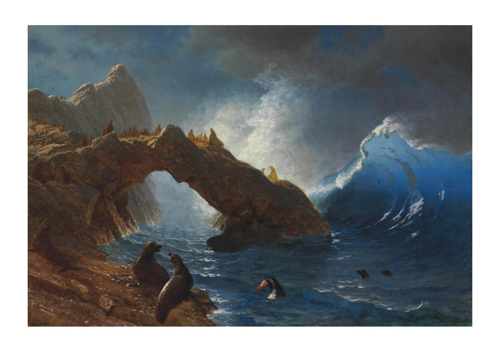 Albert Bierstadt - Seals on the Rocks