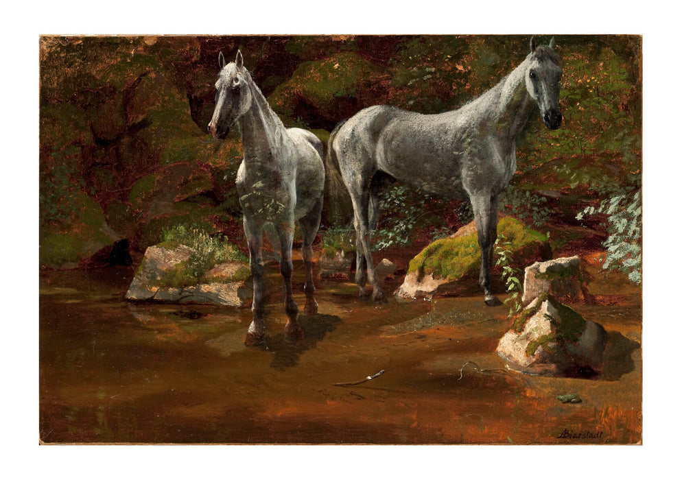 Albert Bierstadt - Study of Wild Horses