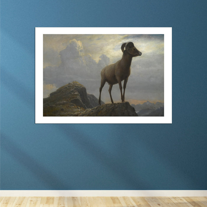 Albert Bierstadt - Study of a Bighorn Ram