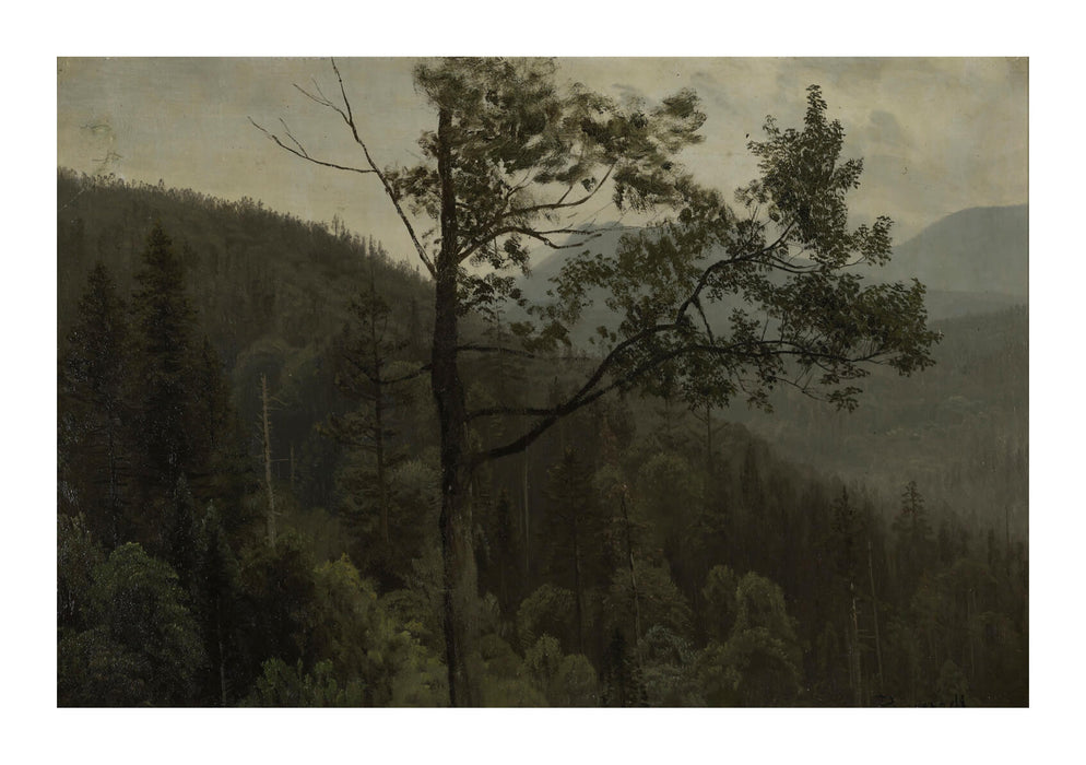 Albert Bierstadt - Tree covered mountains