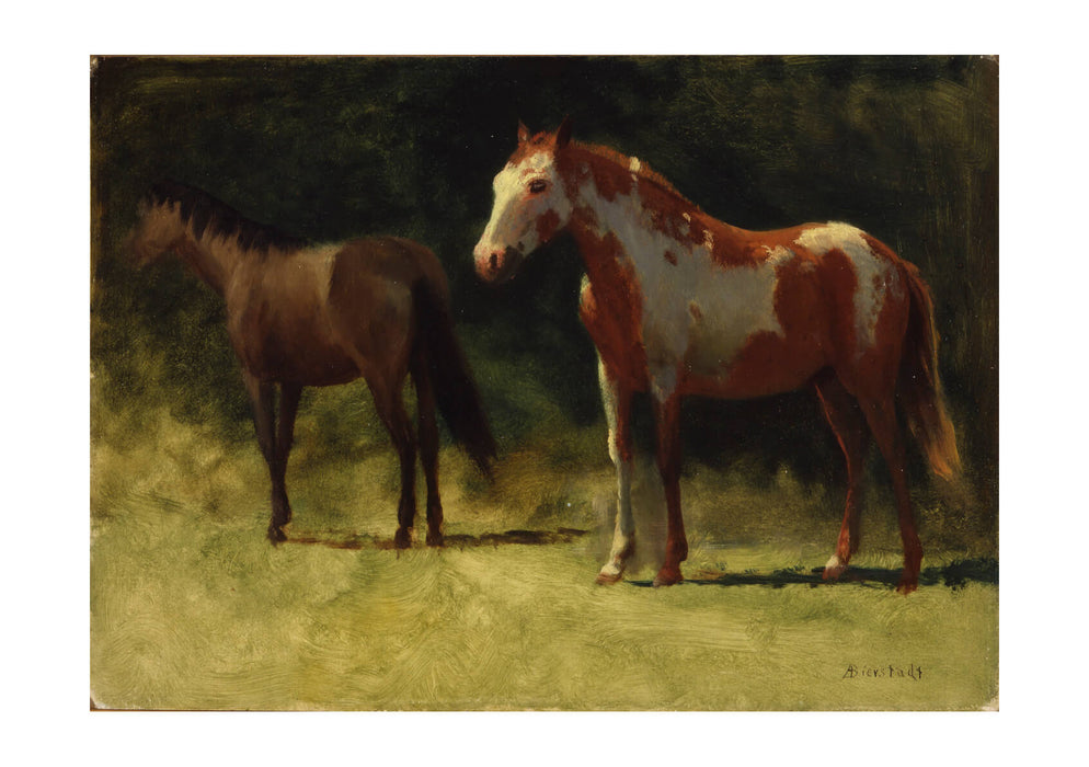 Albert Bierstadt - Two Horses