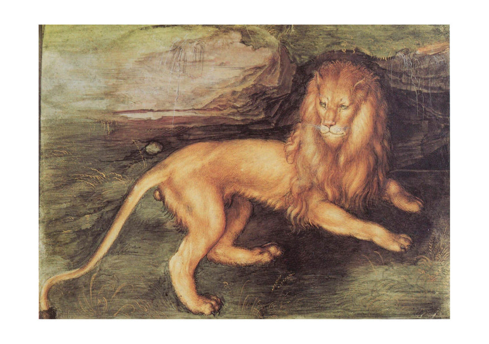 Albrecht Durer - Lion