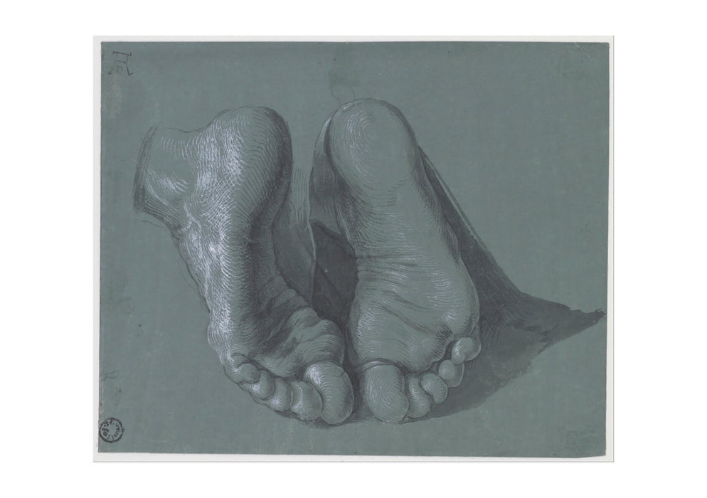 Albrecht Durer - Study of Two Feet