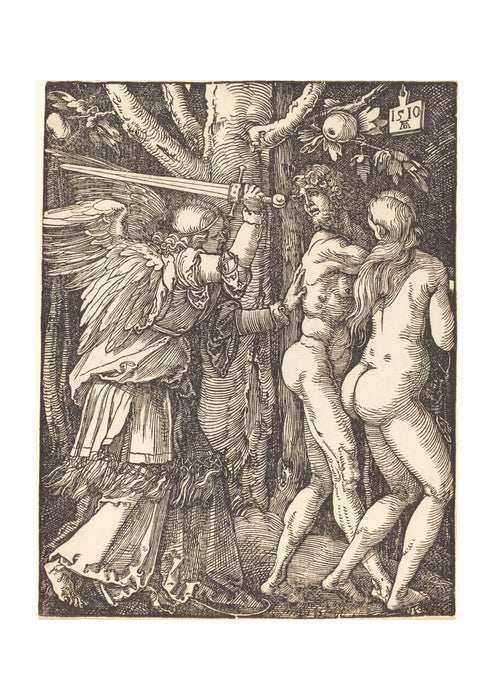 Albrecht Durer - The Expulsion from Paradise