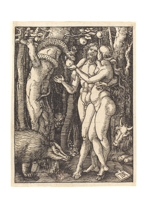 Albrecht Durer - The Fall of Man Sketch
