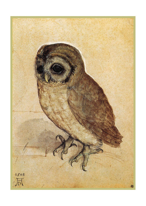 Albrecht Durer - The Little Owl