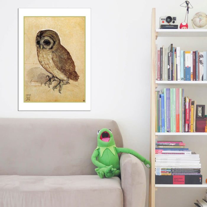 Albrecht Durer - The Little Owl