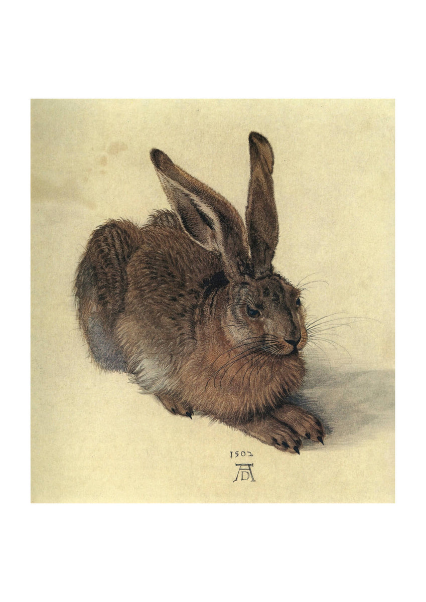 thumbnail image 2 of Albrecht Durer 'Young Hare' Fine Art Print – 8x10 Real Canvas – Giclée Reproduction 2 of 6