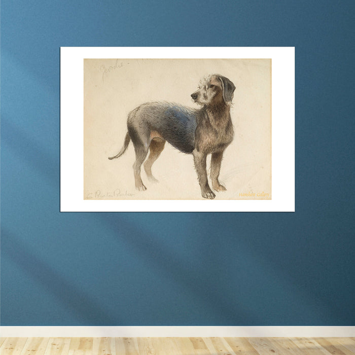 Charles Burton Barber - Bedlington Terrier