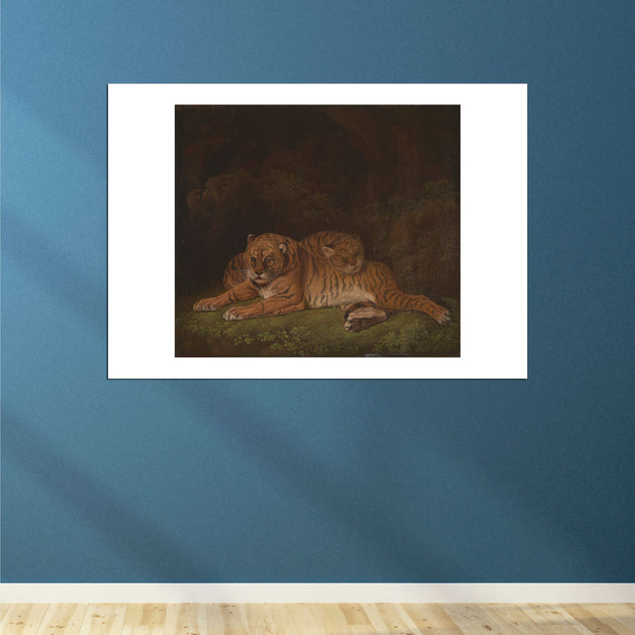 Charles Towne - Tigers