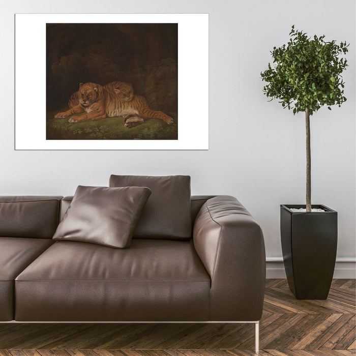 Charles Towne - Tigers