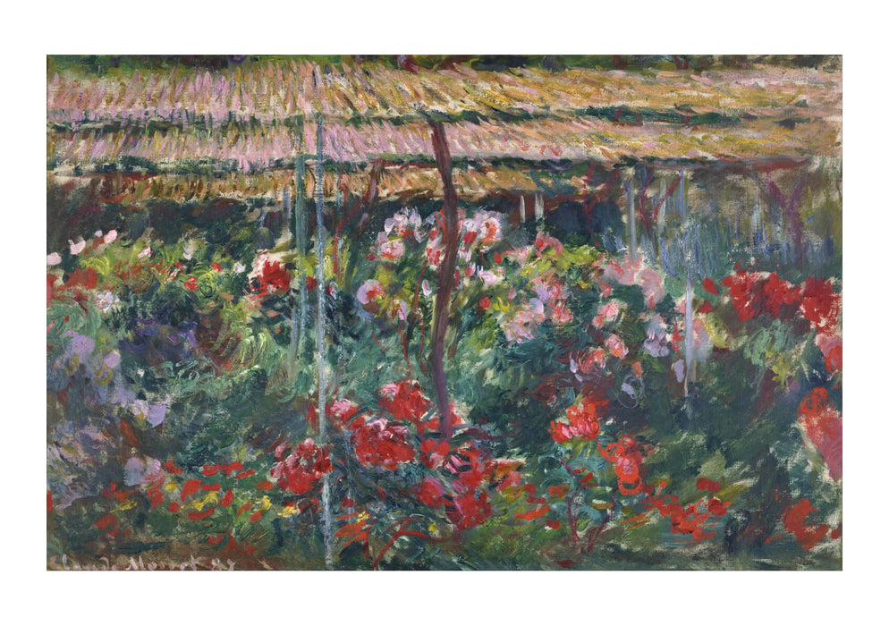 Claude Monet - Peony Garden