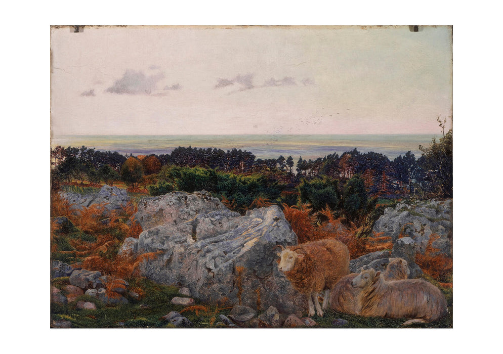 Daniel Williamson - Morecambe Bay From Warton Crag