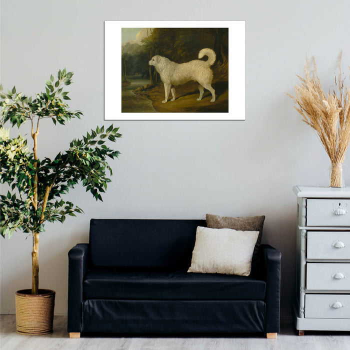 David Dalby Of York - Portrait Of A Dog Ross