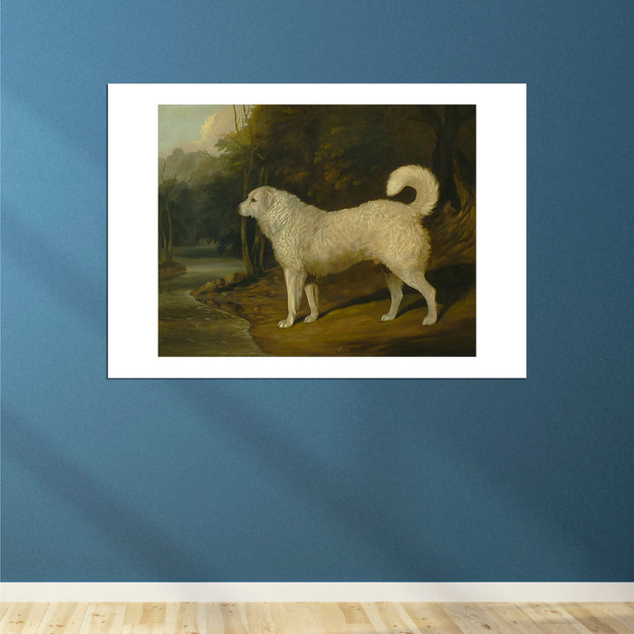 David Dalby Of York - Portrait Of A Dog Ross