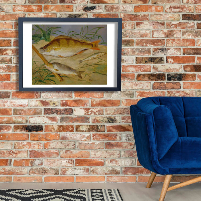 Dean Wolstenholme - An Angler's Catch Of Coarse Fish