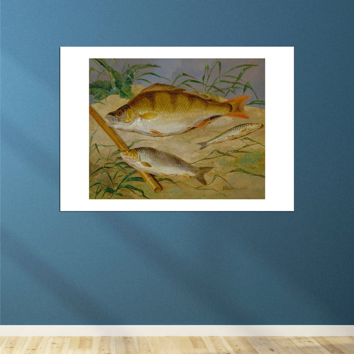 Dean Wolstenholme - An Angler's Catch Of Coarse Fish