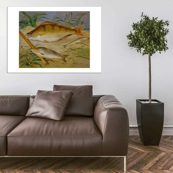 Dean Wolstenholme - An Angler's Catch Of Coarse Fish