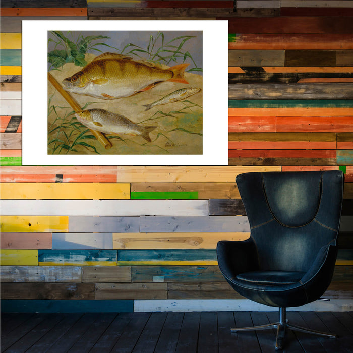 Dean Wolstenholme - An Angler's Catch Of Coarse Fish