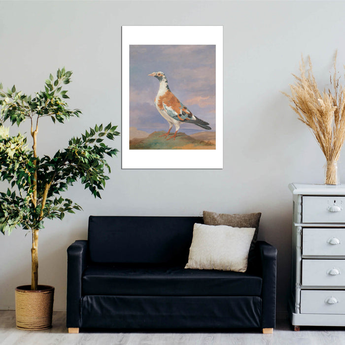 Dean Wolstenholme - Studies Of Carrier Pigeon