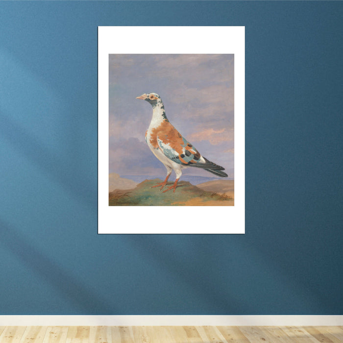 Dean Wolstenholme - Studies Of Carrier Pigeon