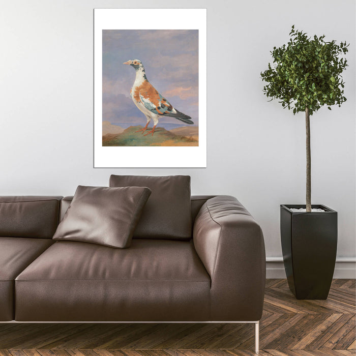 Dean Wolstenholme - Studies Of Carrier Pigeon