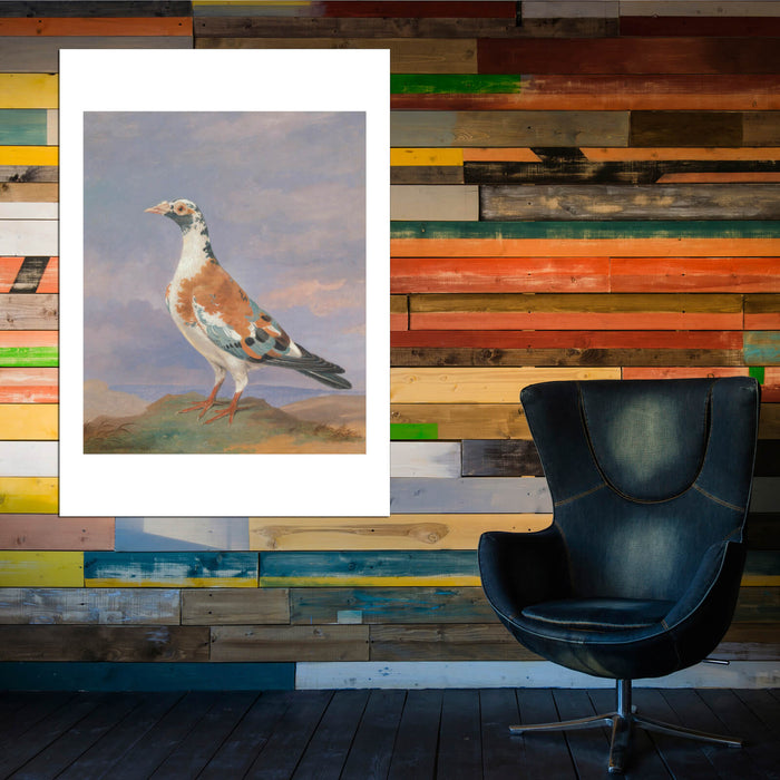 Dean Wolstenholme - Studies Of Carrier Pigeon