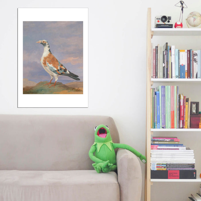 Dean Wolstenholme - Studies Of Carrier Pigeon