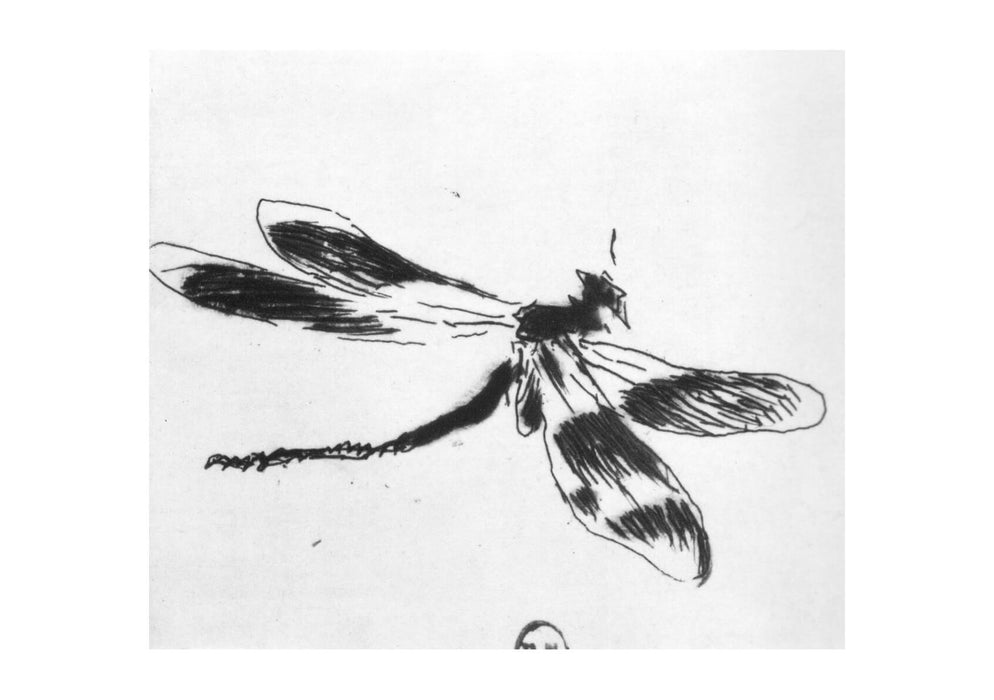 Edouard Manet - Dragonfly