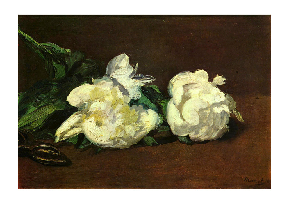 Edouard Manet - White Flowers