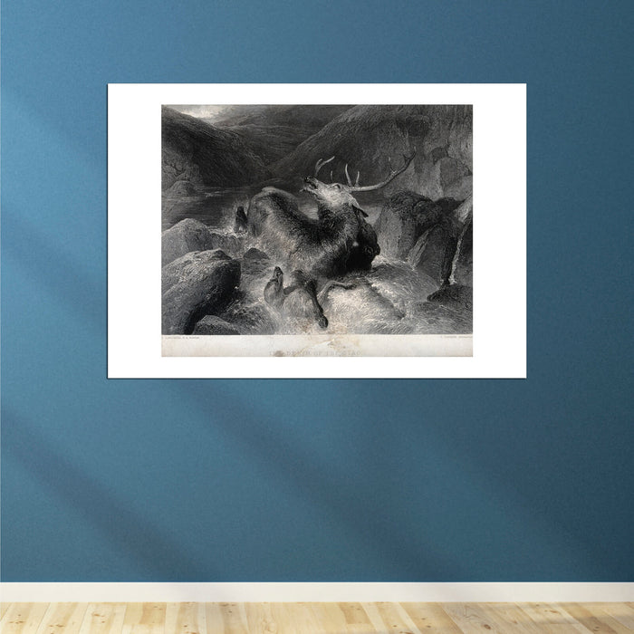 Edwin Landseer - An exhausted stag is hunted into a river