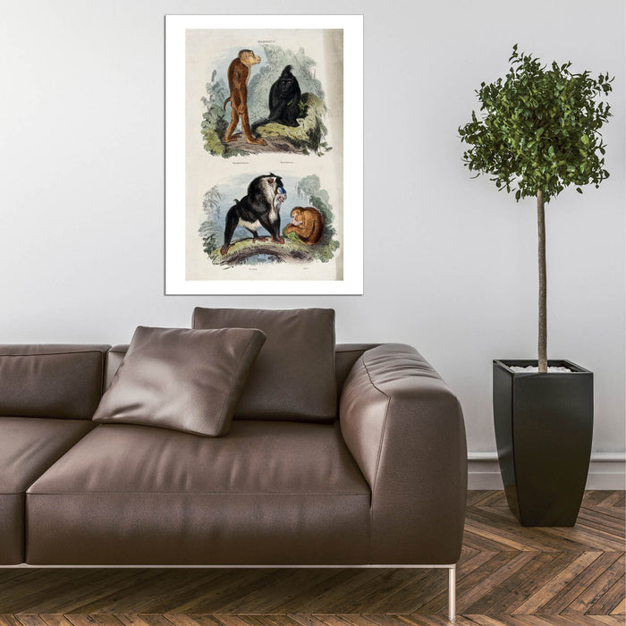 Edwin Landseer - Four baboons