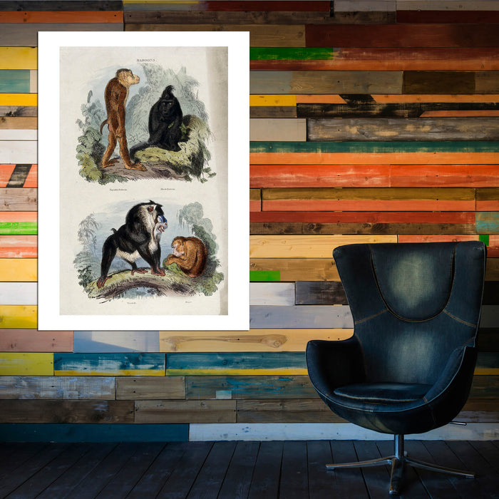 Edwin Landseer - Four baboons