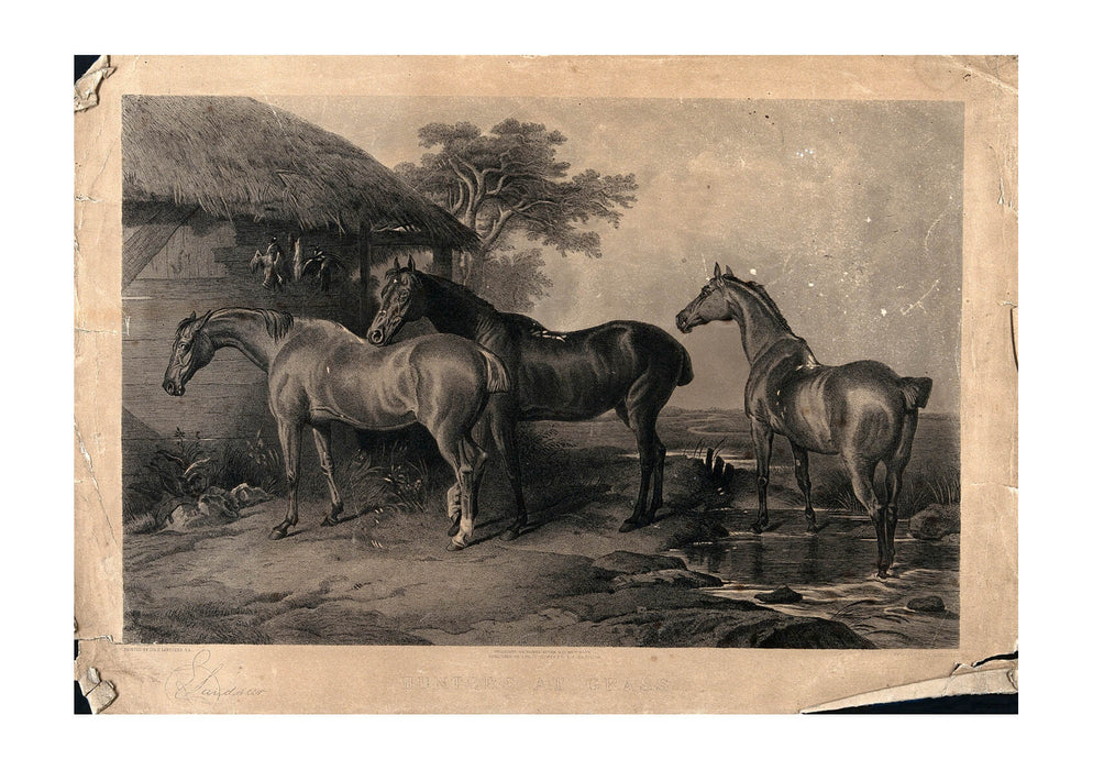 Edwin Landseer - Three horses