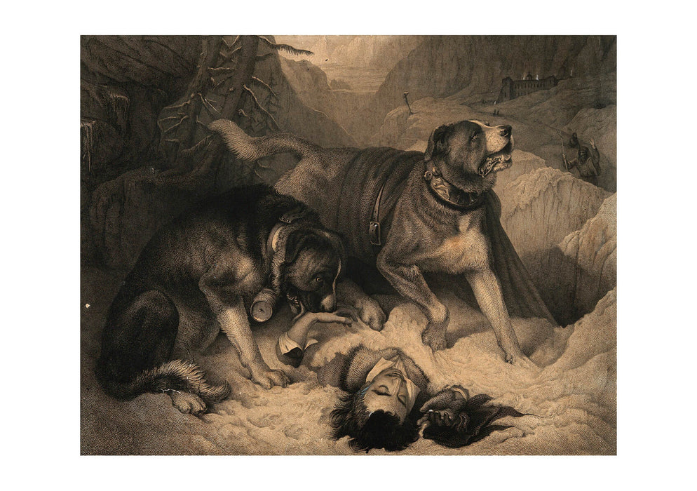 Edwin Landseer - Two St Bernard dogs with an avalanche victim