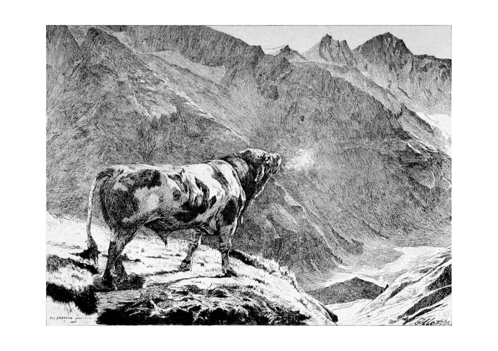 Eugene Burnand - Taureau dans les Alpes