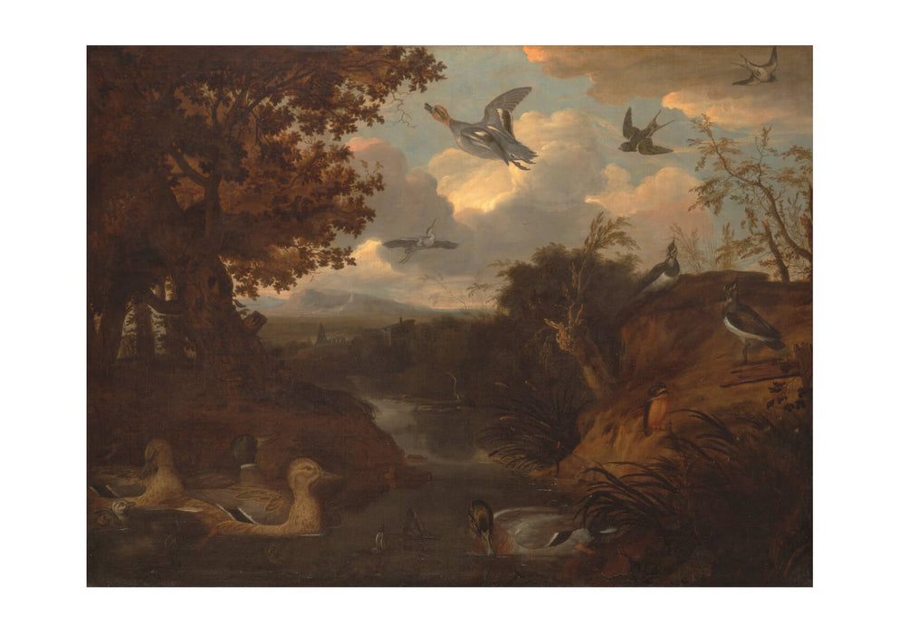 Francis Barlow - Ducks and Other Birds