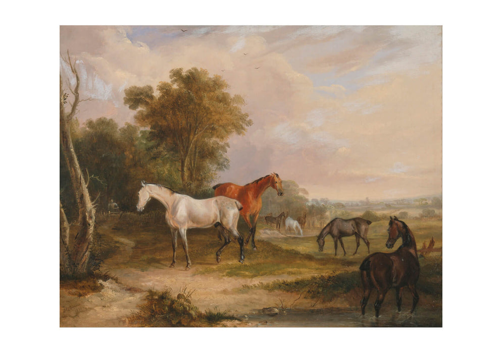 Francis Calcraft Turner - Horses Grazing
