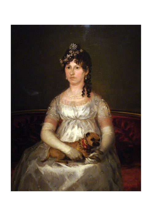 Francisco de Goya - Dona Francisca Vicenta Chollet y Caballero