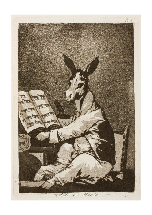 Francisco de Goya - Donkey
