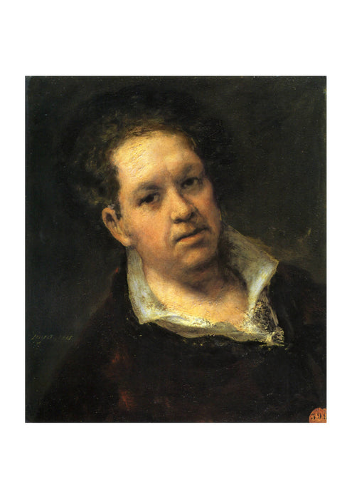 Francisco de Goya - Self-portrait at 69 Years