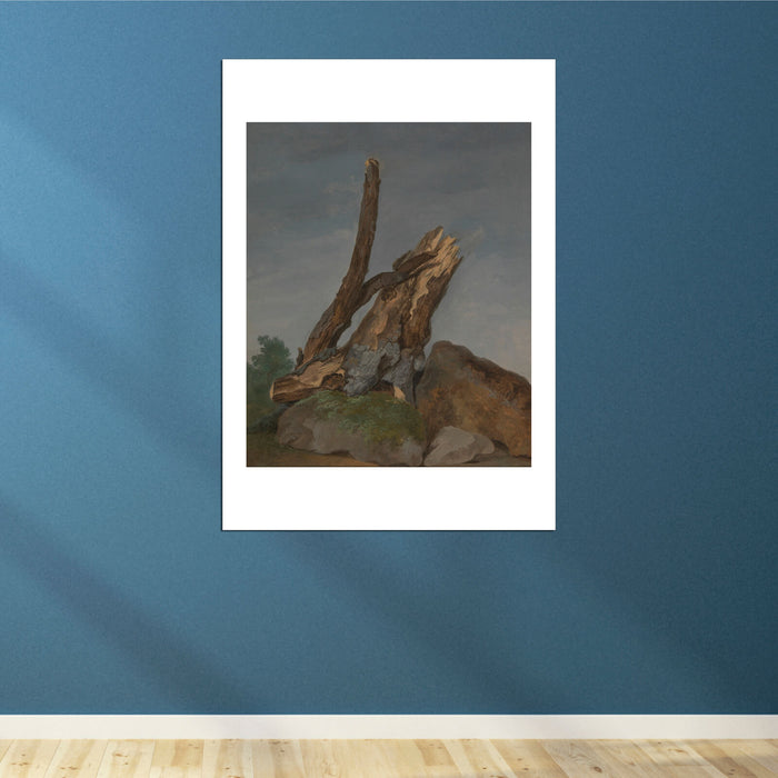 George Augustus Wallis - Study Of Rocks And Branches