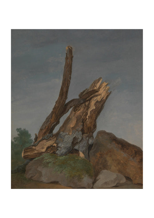 George Augustus Wallis - Study Of Rocks And Branches